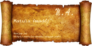 Matula Amadé névjegykártya